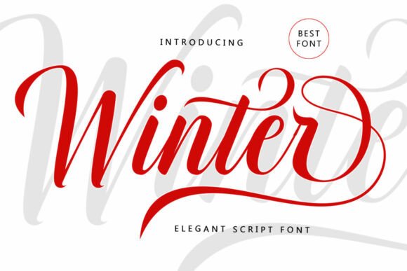 Winter: The Elegant Script Font That Balances Classic and Modern Style